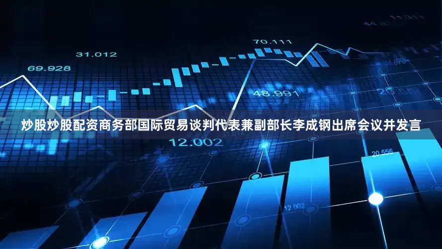 炒股炒股配资商务部国际贸易谈判代表兼副部长李成钢出席会议并发言
